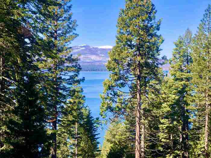 photo 2: 623 W Mountain Ridge Road, Lake Almanor CA 96137