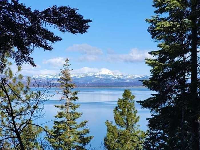 photo 11: 945 Lassen View Drive, Lake Almanor CA 96137