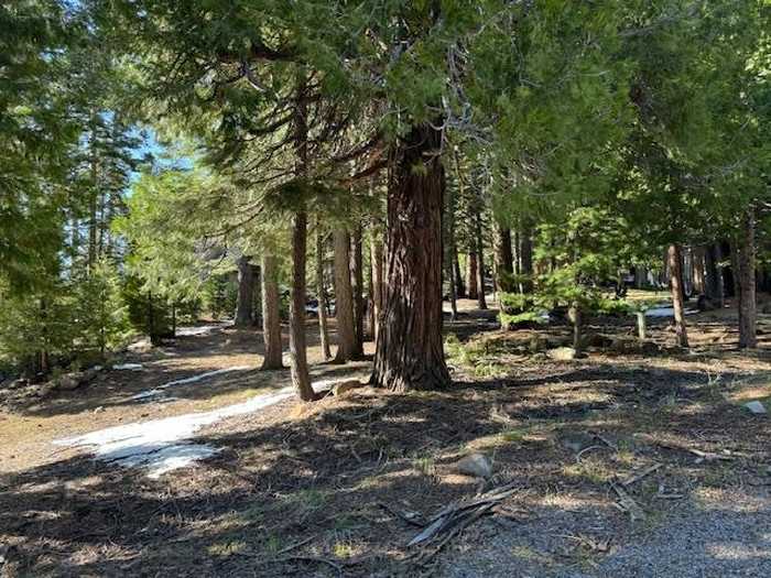 photo 2: 723 Clifford Drive, Lake Almanor CA 96137