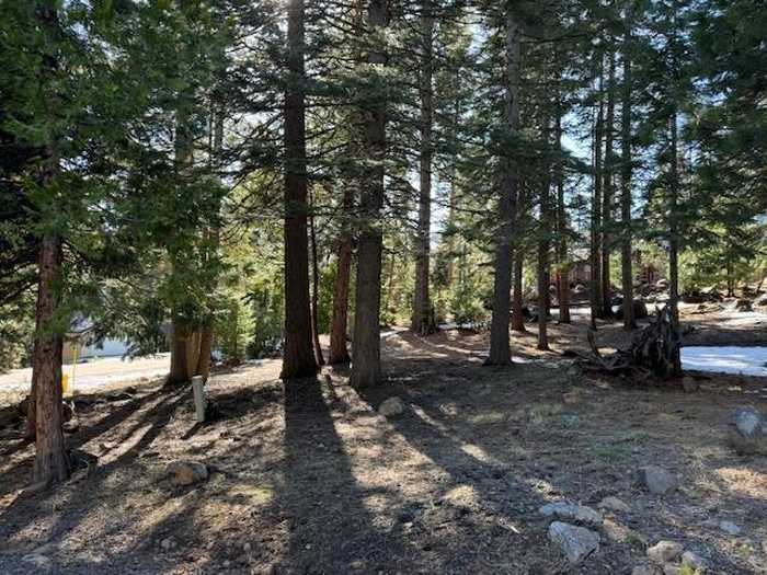 photo 6: 723 Clifford Drive, Lake Almanor CA 96137