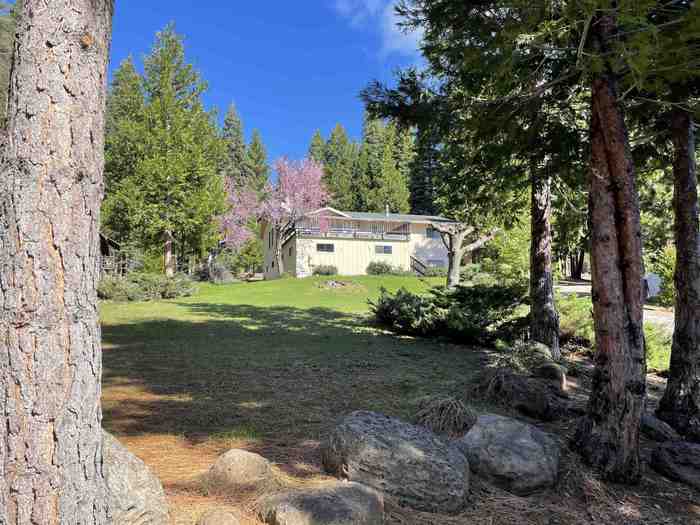 photo 1: 701 Timber Ridge Road, Lake Almanor CA 96137