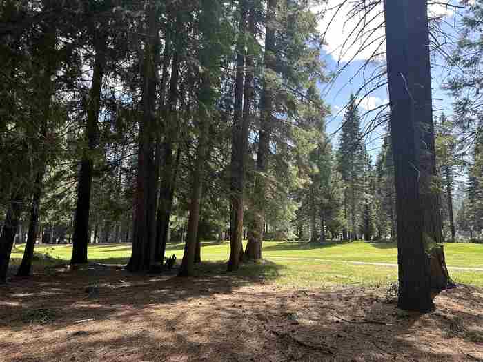 photo 1: 340 Maidu Drive, Lake Almanor West CA 96020