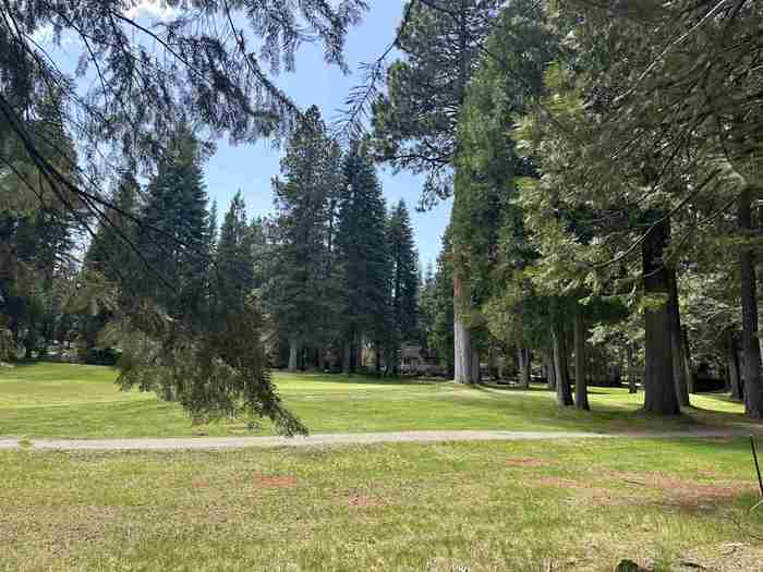 photo 6: 340 Maidu Drive, Lake Almanor West CA 96020