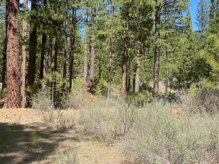 photo 2: 709 Redtail Loop, Clio CA 96106