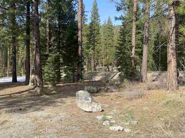 photo 1: 141 Hawk Ridge, Clio CA 96106