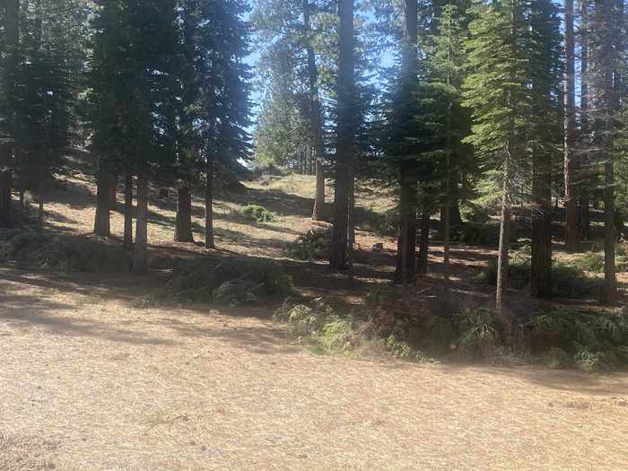 photo 1: 4 Falcon Ridge, Clio CA 96106