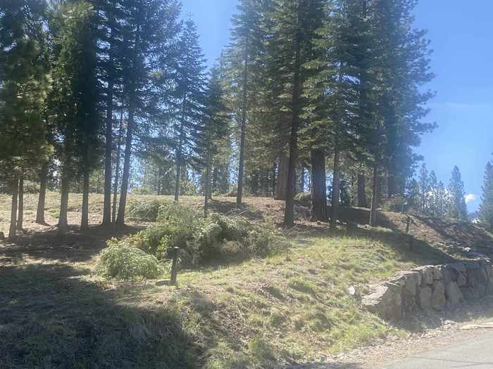 photo 2: 4 Falcon Ridge, Clio CA 96106