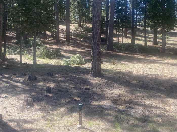 photo 1: 12 Falcon Ridge, Clio CA 96106