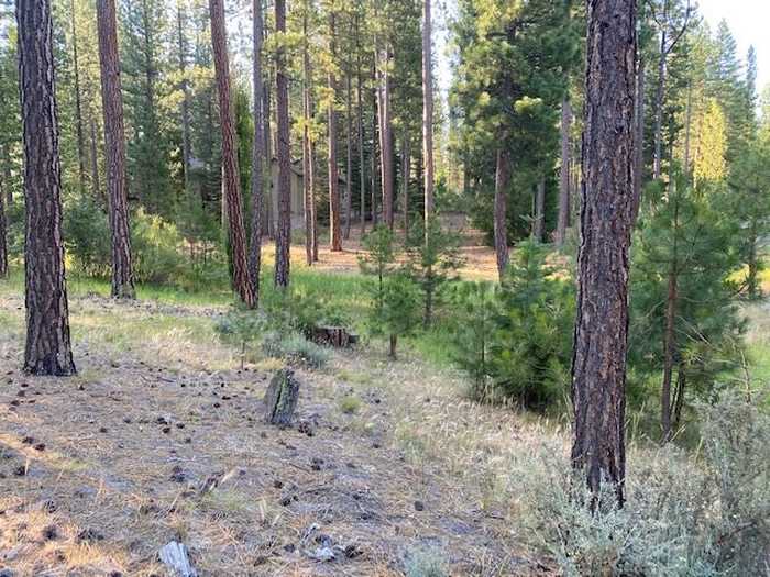 photo 2: 235 Black Bear Trail Unit VI, Clio CA 96106