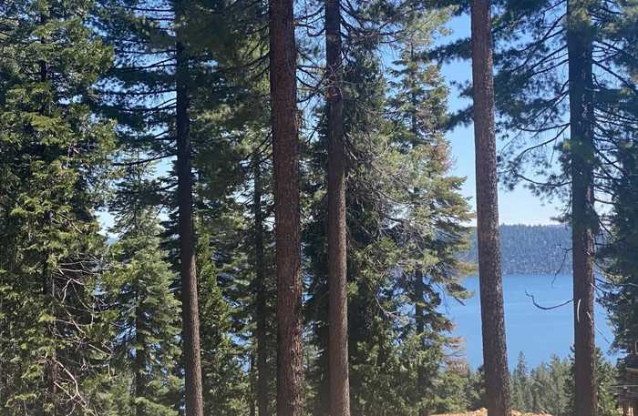 photo 1: 508 Eagle Crest Drive, Lake Almanor West CA 96020