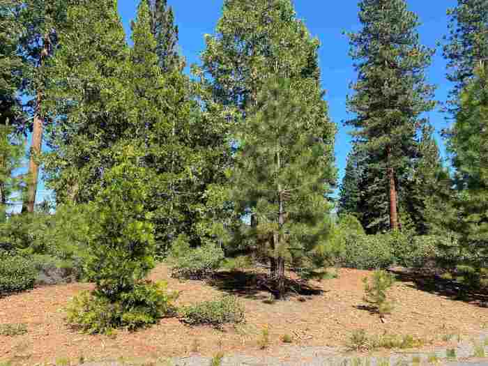 photo 1: 111 Treetop Circle, Lake Almanor CA 96137