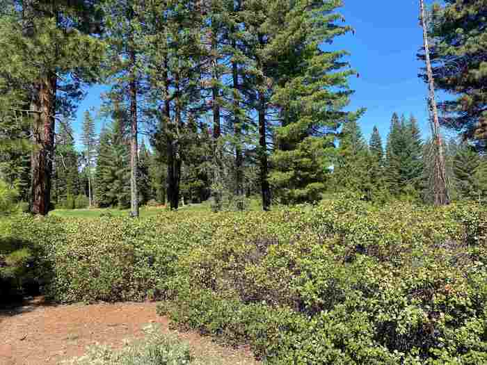 photo 1: 88 Vista Drive, Lake Almanor CA 96137