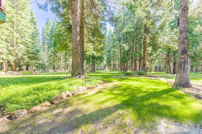 photo 44: 329 Manzanita Drive, Lake Almanor West CA 96020