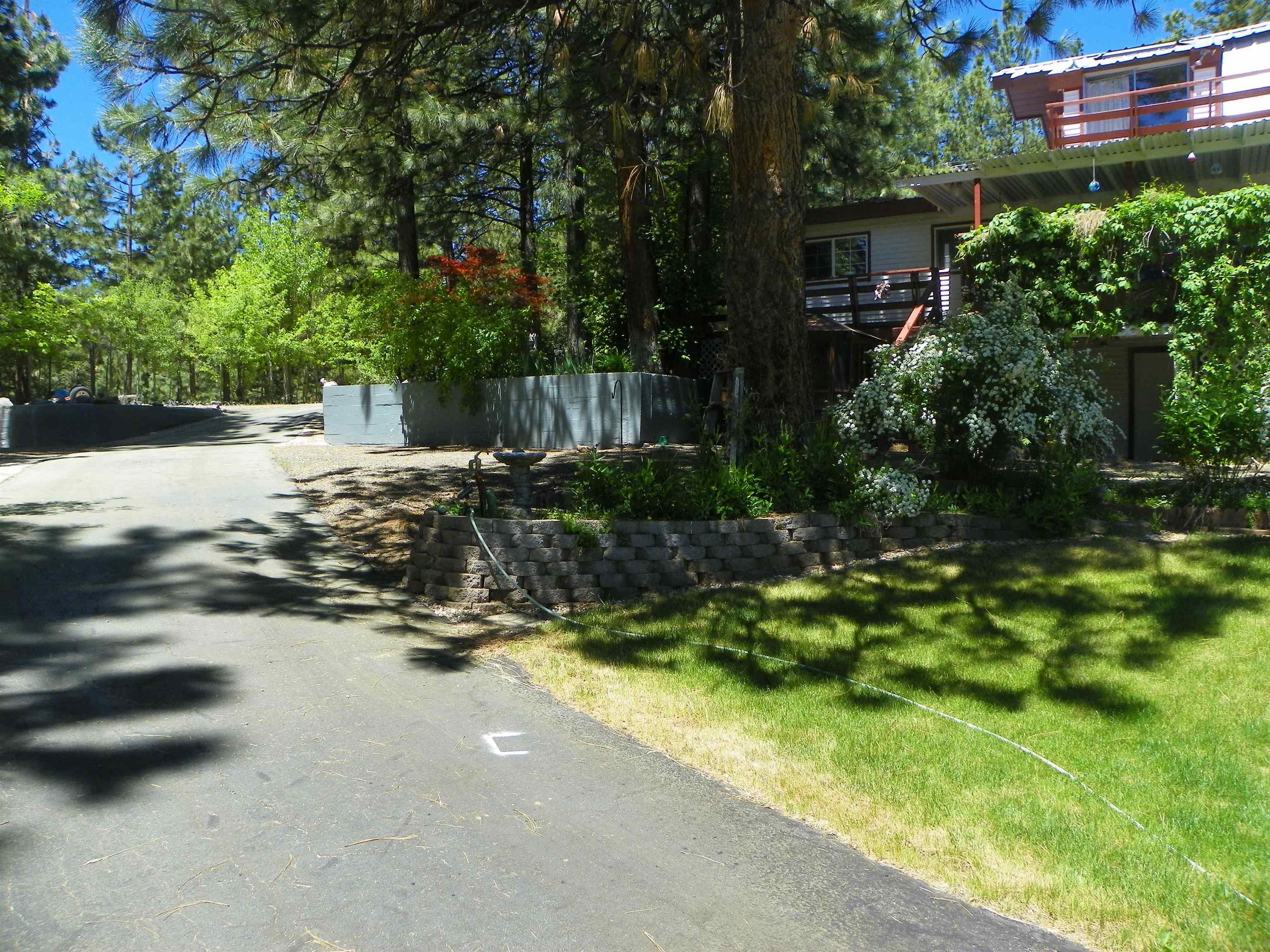 photo 3: 2883 Grizzly Road, Portola CA 96122