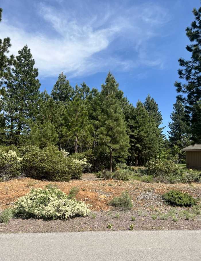 photo 1: 87 Flint Way, Lake Almanor CA 96137