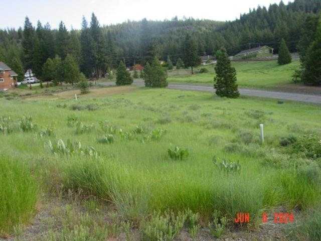 photo 3: 3484 Grizzly Road, Portola CA 96122