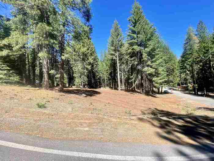 photo 1: 601 Deep Forest Road, Lake Almanor CA 96137