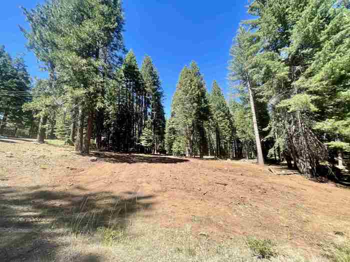 photo 11: 601 Deep Forest Road, Lake Almanor CA 96137