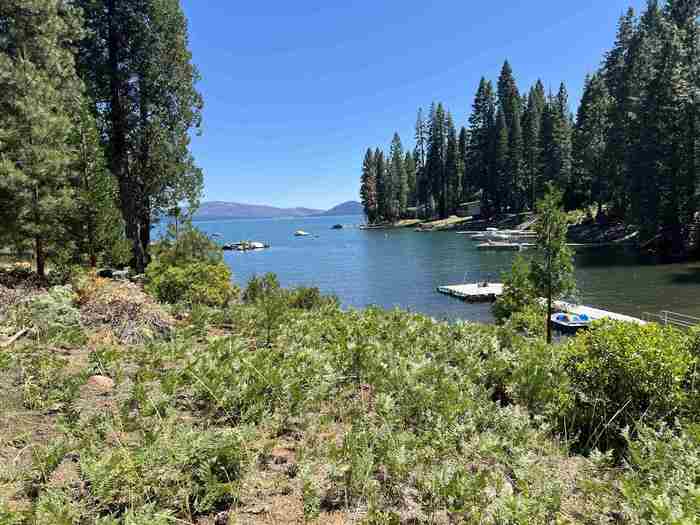 photo 2: 162 Peninsula Drive, Lake Almanor CA 96137