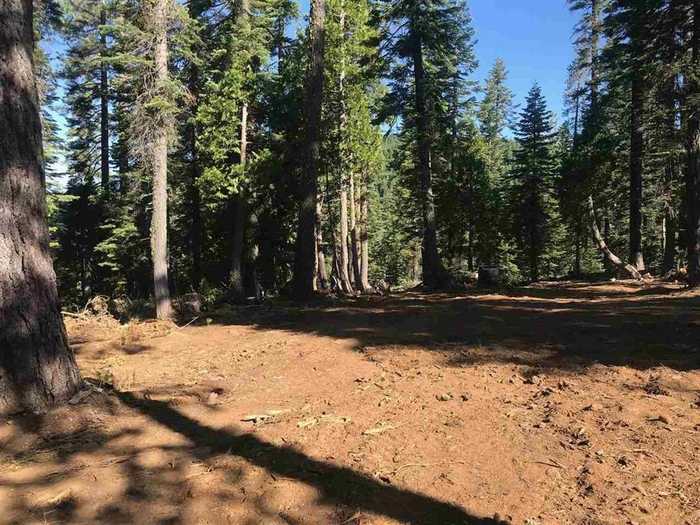 photo 2: 258 Bucks Meadows Drive, Bucks Lake CA 95971