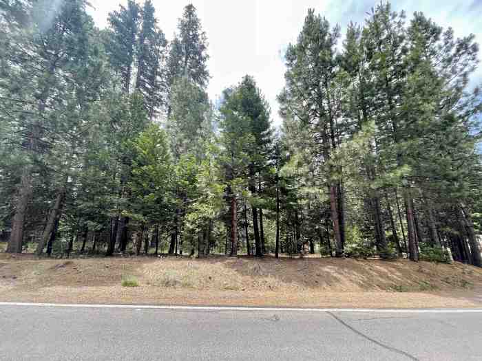 photo 1: 1008 Timber Ridge Road, Lake Almanor CA 96137