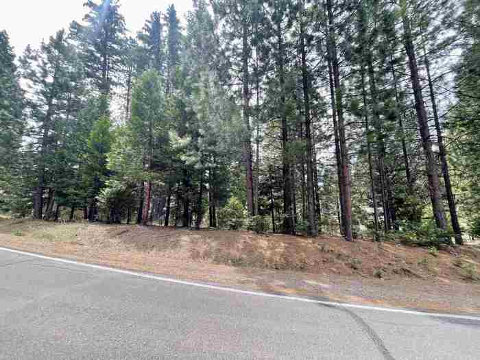 photo 2: 1008 Timber Ridge Road, Lake Almanor CA 96137