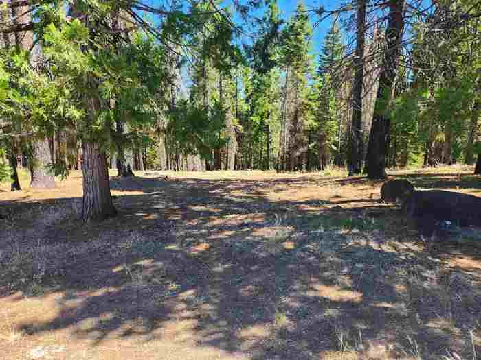 photo 1: 135 Goose Bay View Trail, Lake Almanor West CA 96020