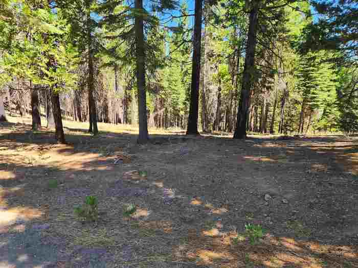 photo 2: 135 Goose Bay View Trail, Lake Almanor West CA 96020