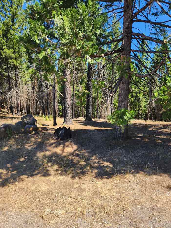 photo 7: 135 Goose Bay View Trail, Lake Almanor West CA 96020