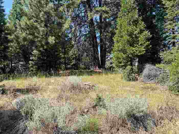 photo 1: 1218 Lynx Road, Lake Almanor CA 96137