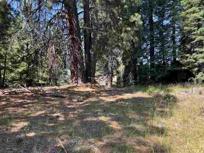 photo 2: 1218 Lynx Road, Lake Almanor CA 96137