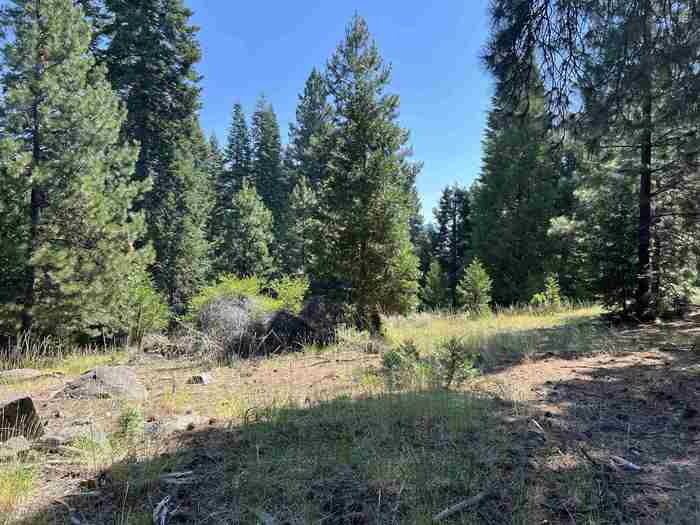 photo 4: 1218 Lynx Road, Lake Almanor CA 96137