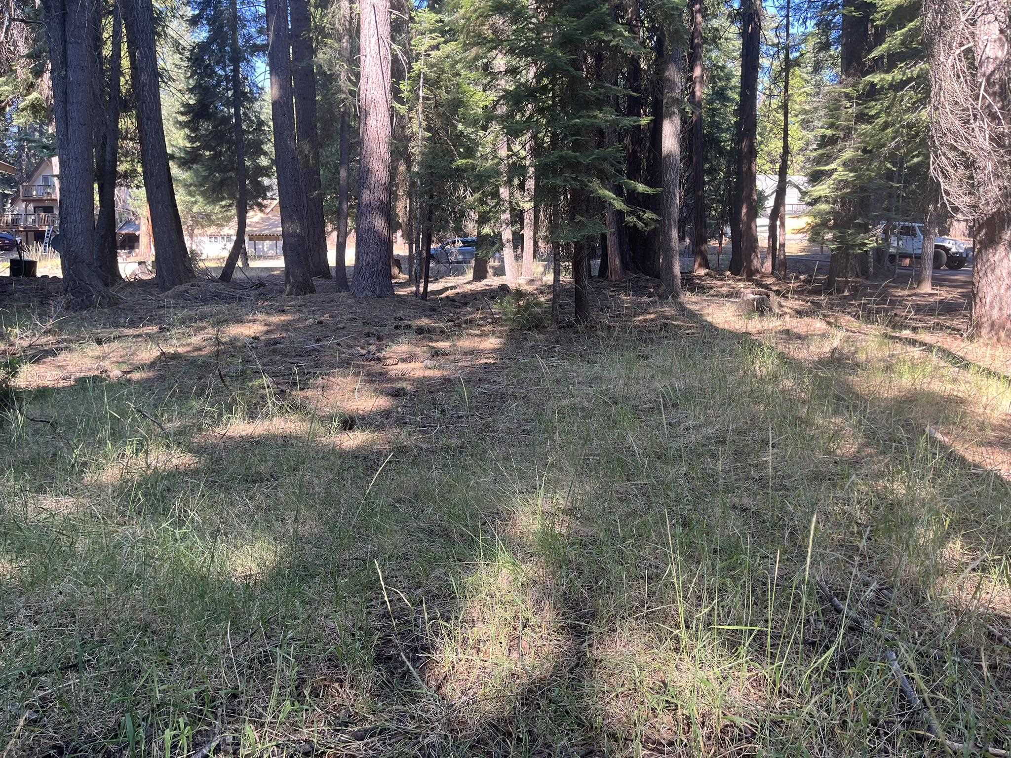 photo 3: 1130 Clifford Drive, Lake Almanor CA 96137