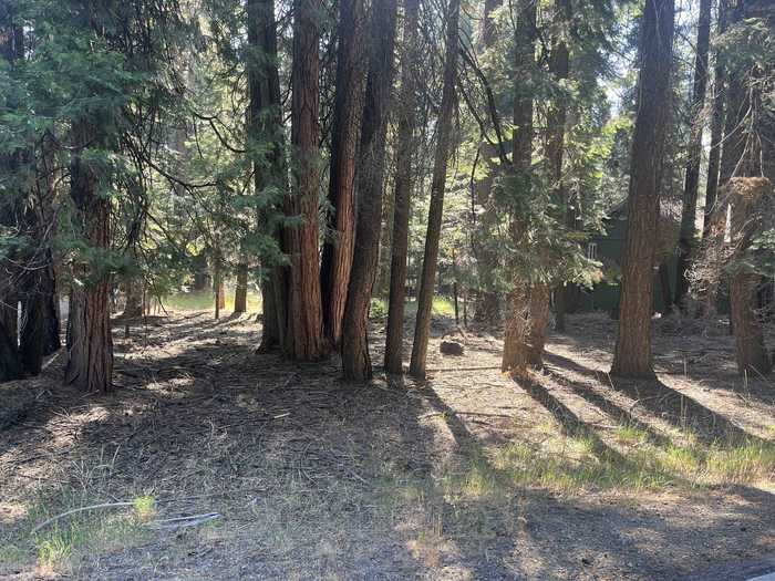 photo 6: 1130 Clifford Drive, Lake Almanor CA 96137