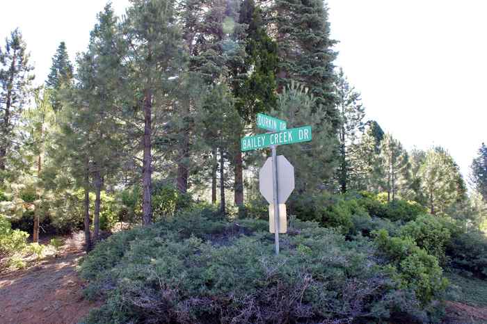 photo 1: 608 Durkin Drive, Lake Almanor CA 96137