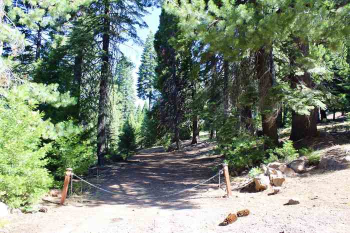 photo 1: 621 W Burnt Cedar Road, Lake Almanor CA 96137