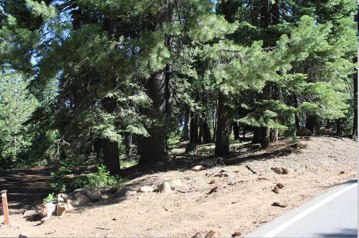 photo 5: 621 W Burnt Cedar Road, Lake Almanor CA 96137