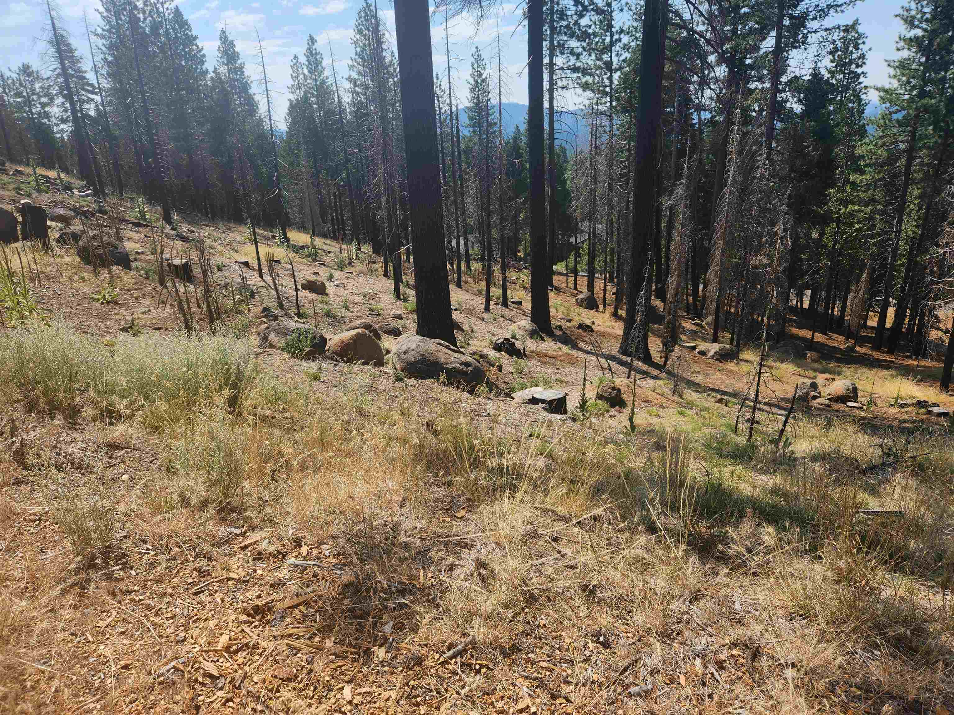 photo 2: 512 Eagle Crest Drive, Lake Almanor West CA 96020