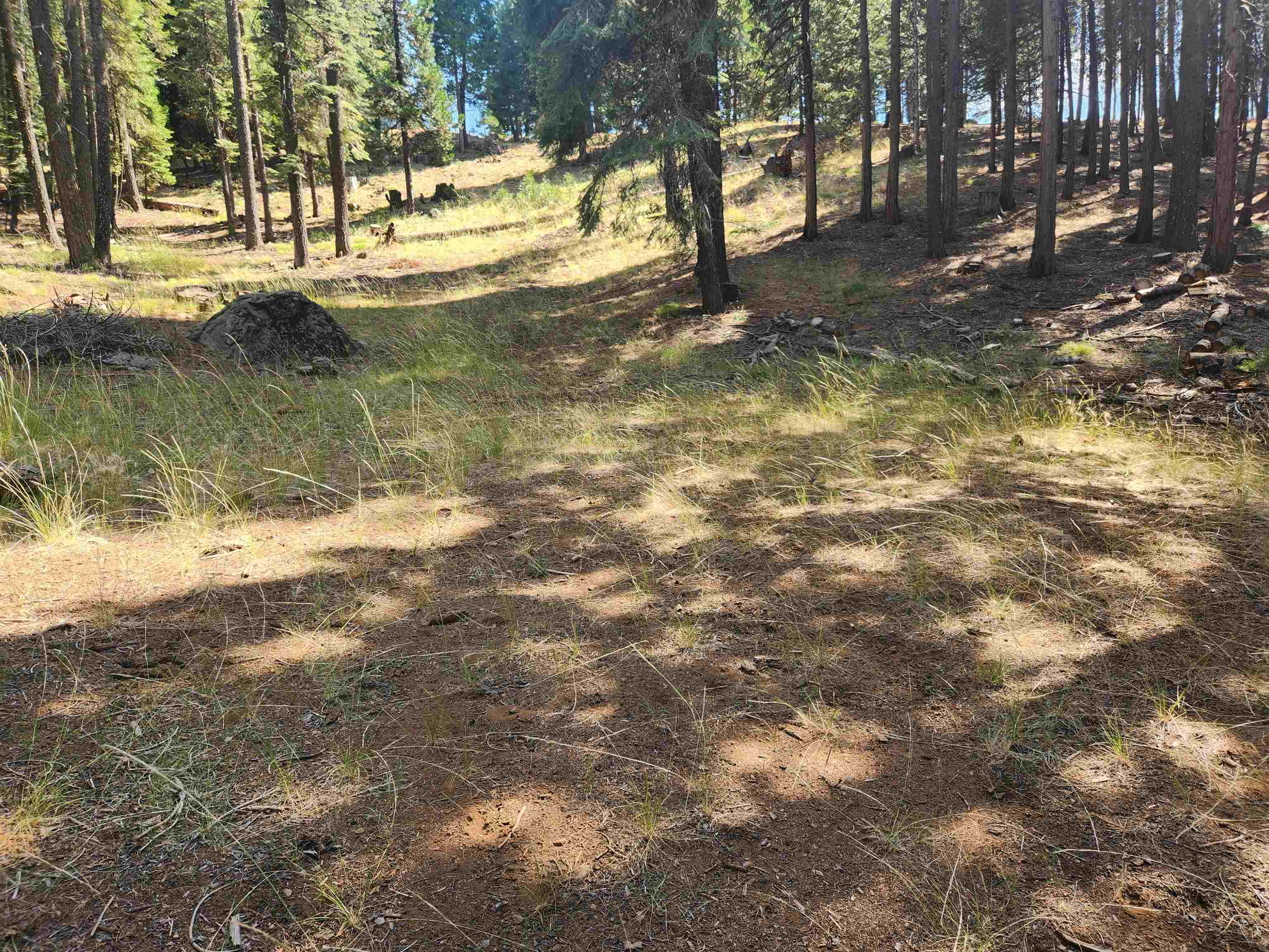 photo 1: 110 Marion Trail, Lake Almanor West CA 96020