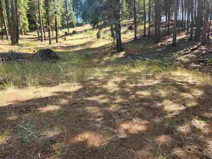 photo 1: 110 Marion Trail, Lake Almanor West CA 96020