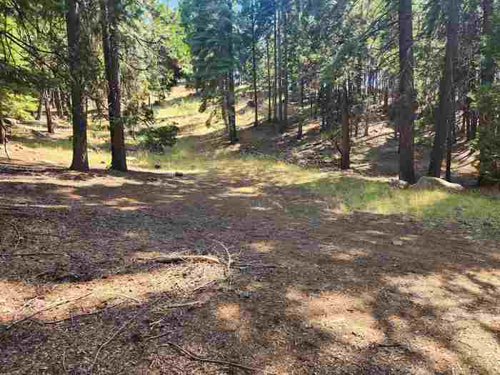 photo 2: 110 Marion Trail, Lake Almanor West CA 96020