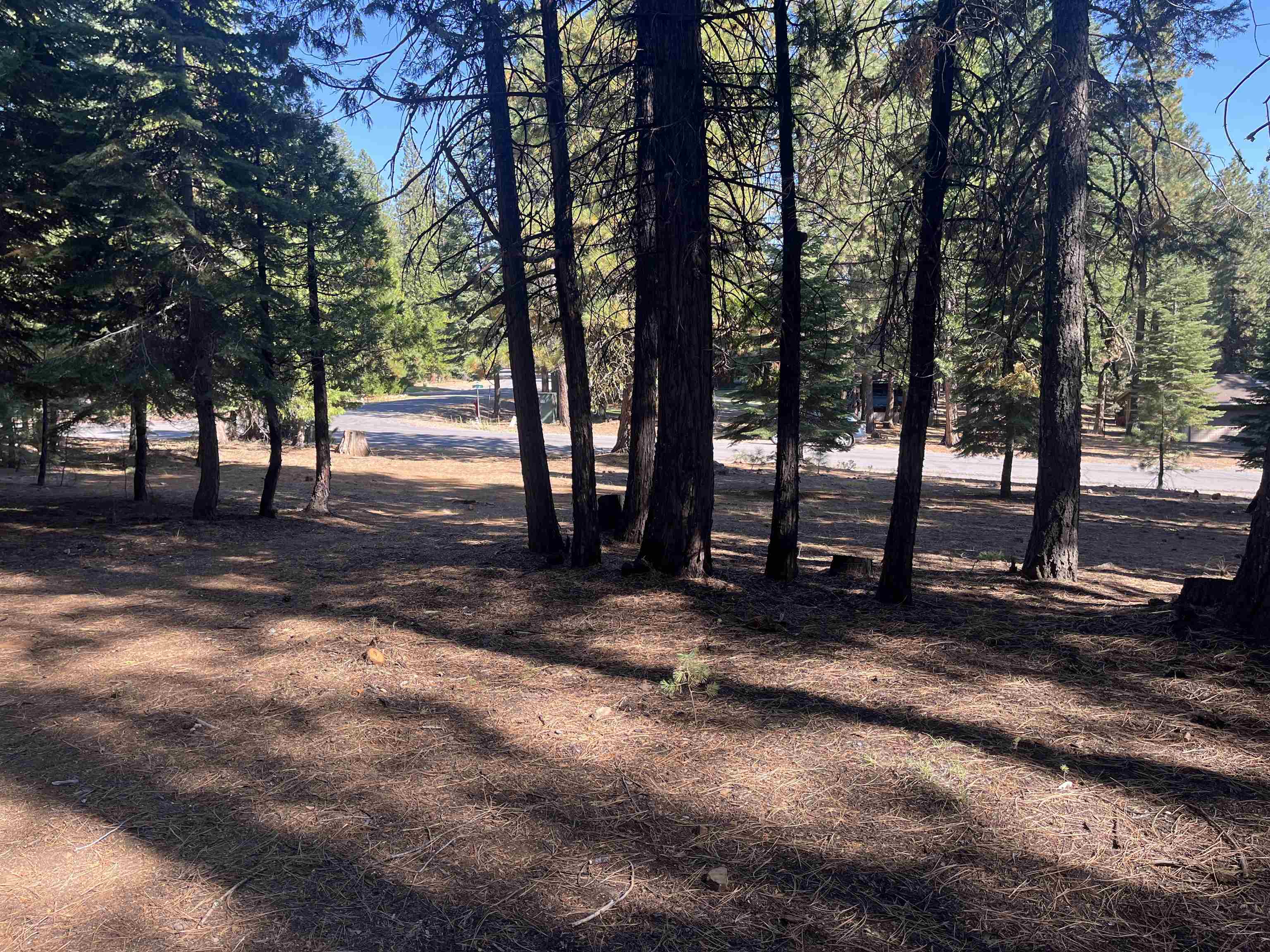 photo 1: 935 Long Iron Drive, Lake Almanor West CA 96020