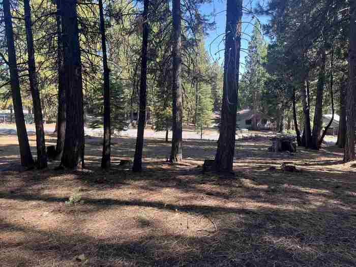 photo 2: 935 Long Iron Drive, Lake Almanor West CA 96020