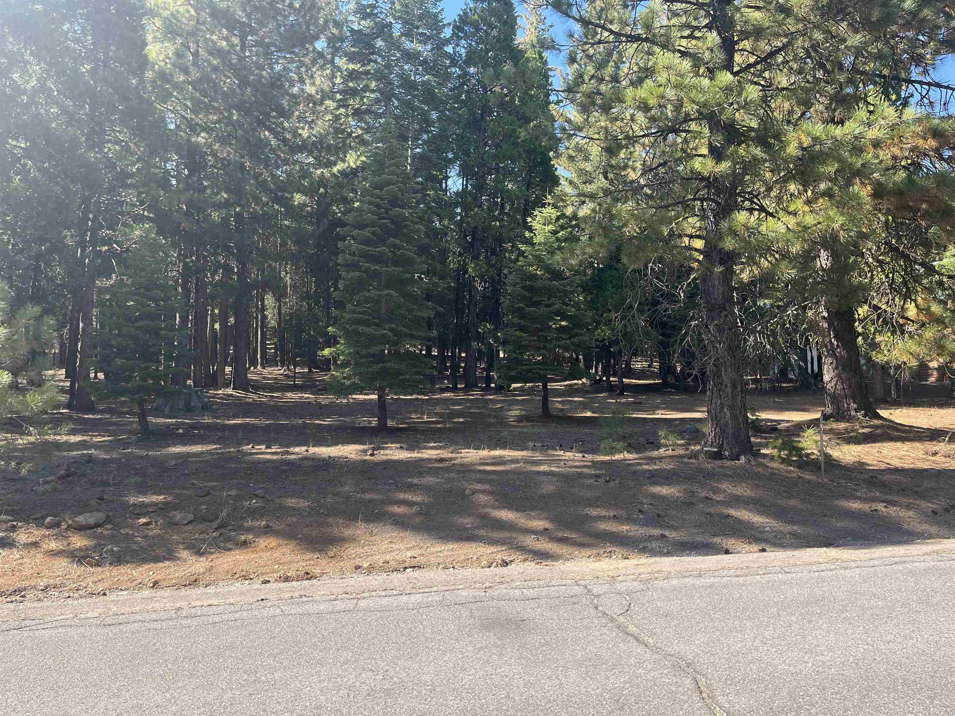 photo 3: 935 Long Iron Drive, Lake Almanor West CA 96020