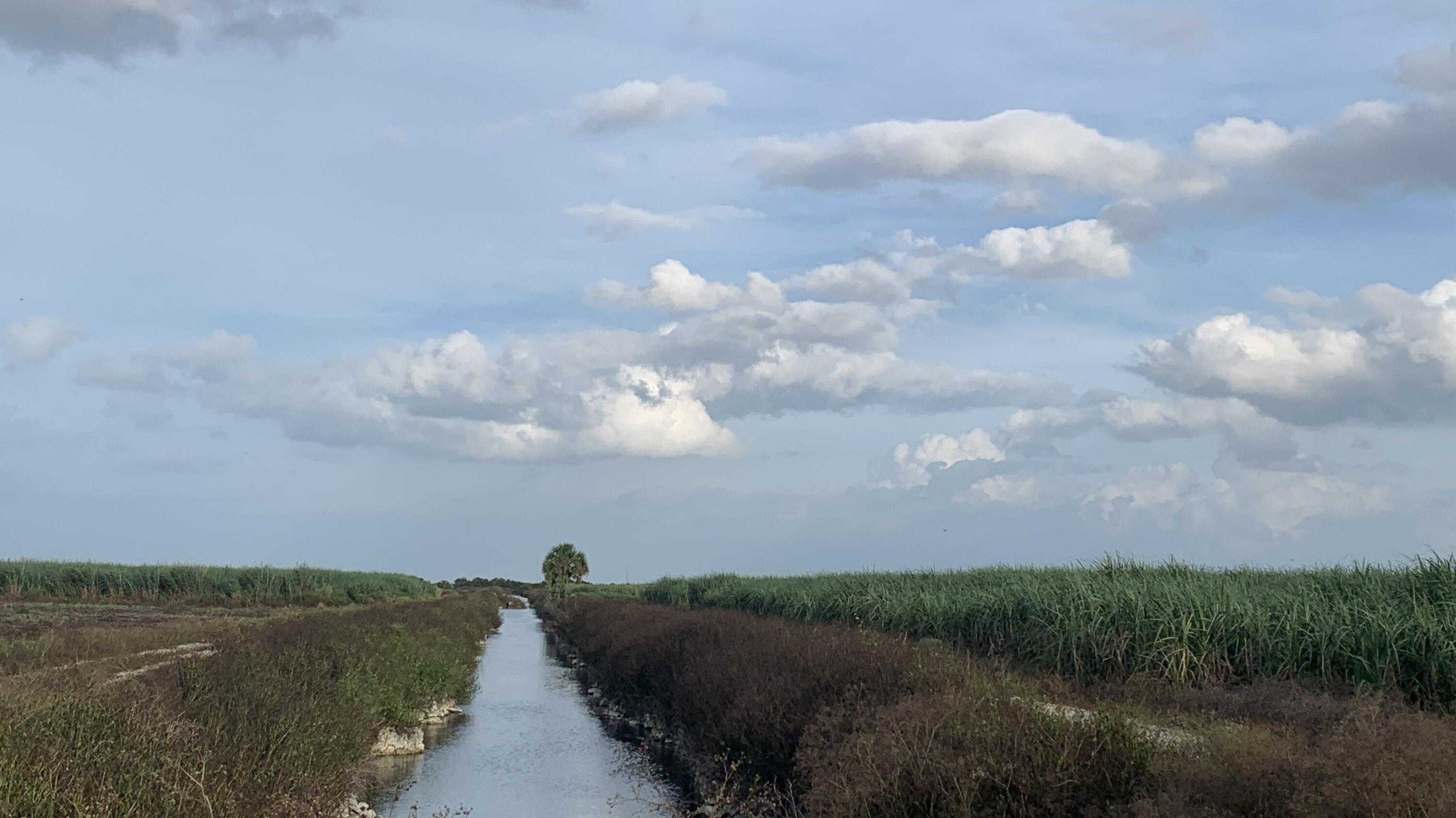 photo 3: Us Hwy 27, South Bay FL 33493