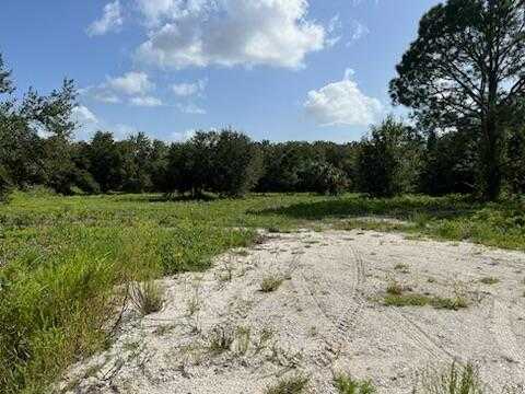 photo 2: 15134 306th Street, Okeechobee FL 34972