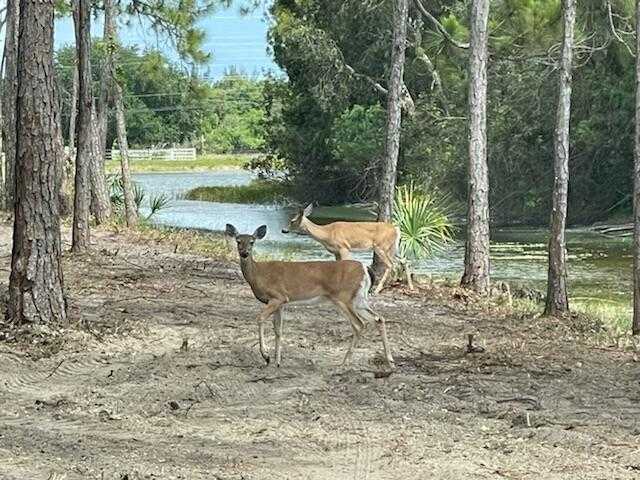 photo 1: 11352 Alligator Trail, Lake Worth FL 33449