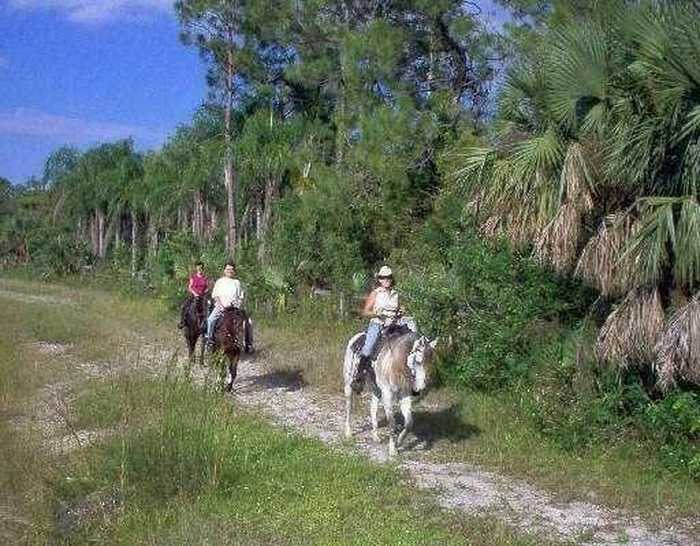 photo 34: 1464 Gallop Drive, Loxahatchee FL 33470