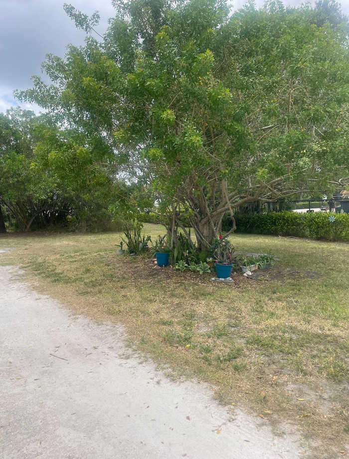 photo 1: 2101 37th Street, Fort Pierce FL 34947