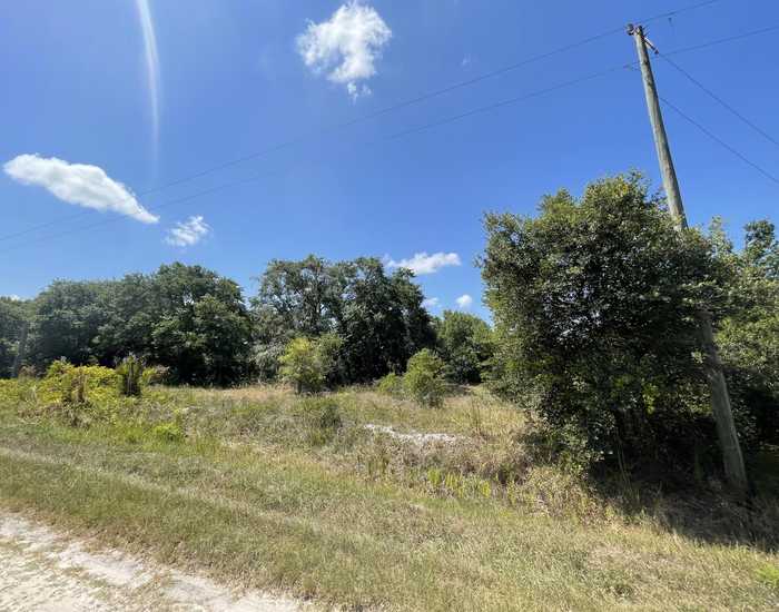 photo 4: 20174 300th Street, Okeechobee FL 34972